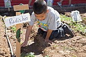 Child learning organic gardening