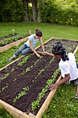 Community garden volunteers weeding