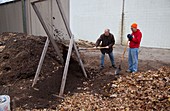 Sifting compost through a screen