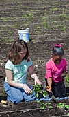 Children at work in a community garden