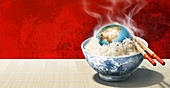 Asian rice bowl,conceptual image