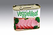 Can of vegetarian meat substitute