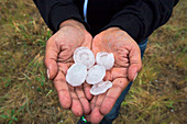 Large hail