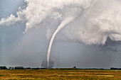 Tornado