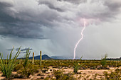 Desert thunderstorm