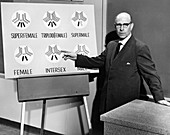 Stern lectures on intersex genetics,1959