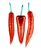 Chilli peppers,X-ray