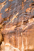 Lizard petroglyphs on sandstone,USA