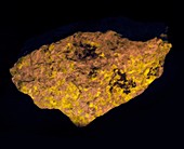 Sodalite glowing yellow in UV light