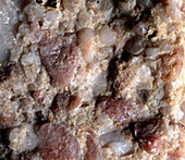 Quartz conglomerate,close-up