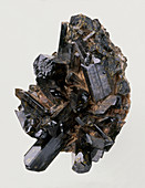 Epidote crystals in rock groundmass