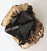 Smoky Quartz in Milky Quartz Groundmass