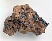 Boleite crystals in gypsum groundmass