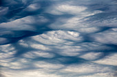 Undulatus asperatus cloud formation