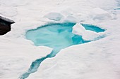 Rotten sea ice at over 80 degrees North