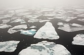 Rotten sea ice at over 80 degrees North