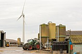 A pig farm powered by a wind turbine