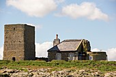 Inner Farne,on the Farnes Islands