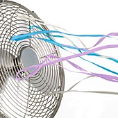 Domestic fan showing air movement