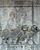 Bas-relief,Persepolis,Iran