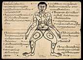 Pressure points,19th Century manuscript