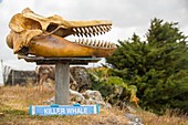 Whaling museum,Falklands
