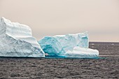 Icebergs off the Antarctic Peninsular