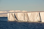 A tabular iceberg off Livingstone Island