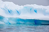 Icebergs in Wilhelmina Bay