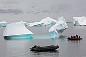 Icebergs off Curverville Island
