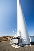 The Clyde windfarm,Scotland,UK