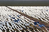 The Ivanpah Solar Thermal Power Plant