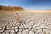 The Kern Valley Wildlife Refuge