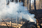 The King Fire,California,USA