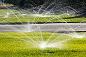 Watering lawns during a drought