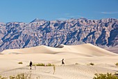 Mesquite flat sand dunes,Death Valley