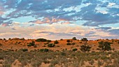 Auob riverbed with clouds at dusk