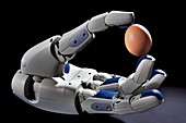 PR2 robot hand holding an egg
