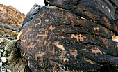 Prehistoric rock art,Iran