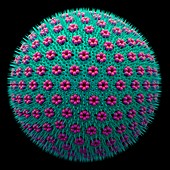 Virus particle,illustration