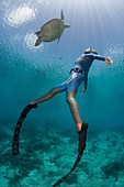 Free diver with a turtle