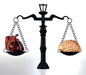 Head vs heart,conceptual illustration