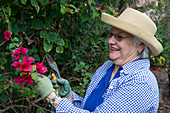Gardening in later life