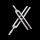 Tuning forks