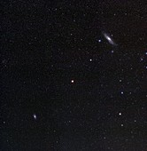 Triangulum and Andromeda galaxies