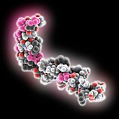 Amyloid beta protein molecule