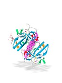 Daclatasvir and NS5A protein complex