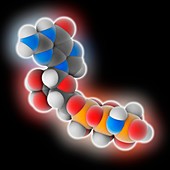 Guanylyl imidodiphosphate molecule