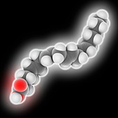 Arachidonic acid molecule