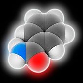 Benzamide molecule